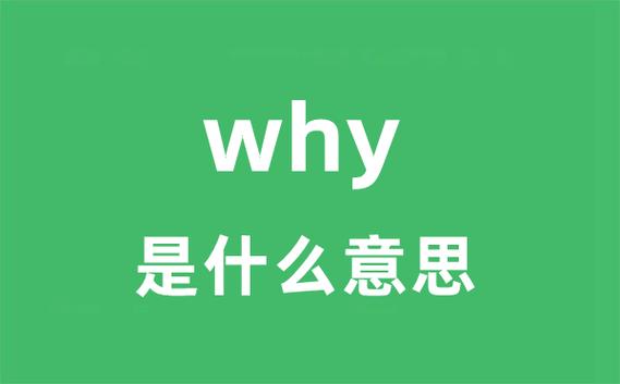 why什么意思中文名字